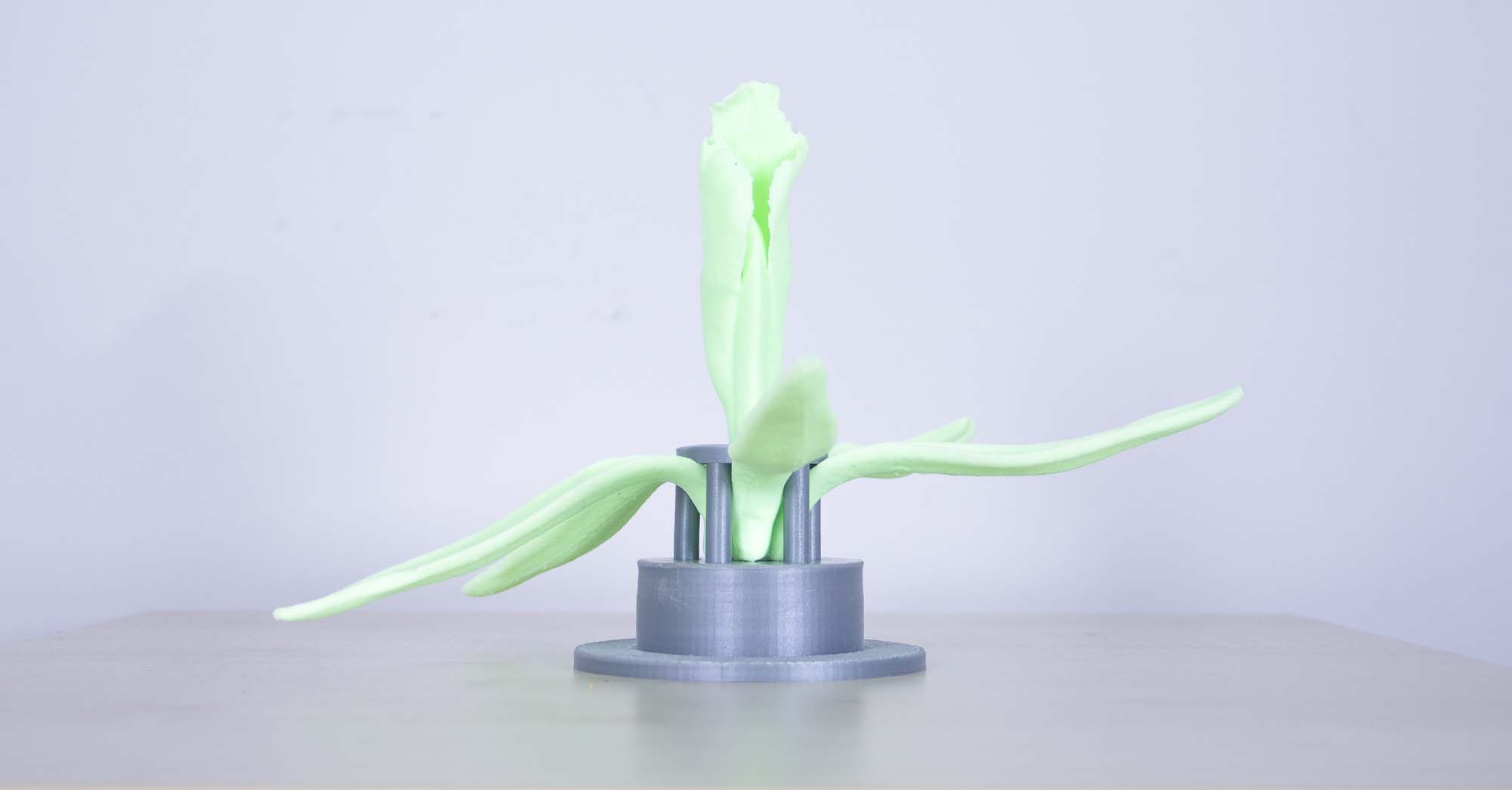 vanillebloem 3D print